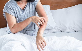 ダニやノミによって健康を害する人