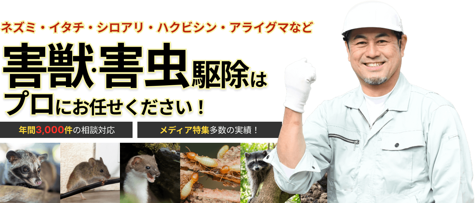 ネズミ・イタチ・シロアリ・ハクビシン・アライグマなど、害獣・害虫駆除はプロにお任せください！