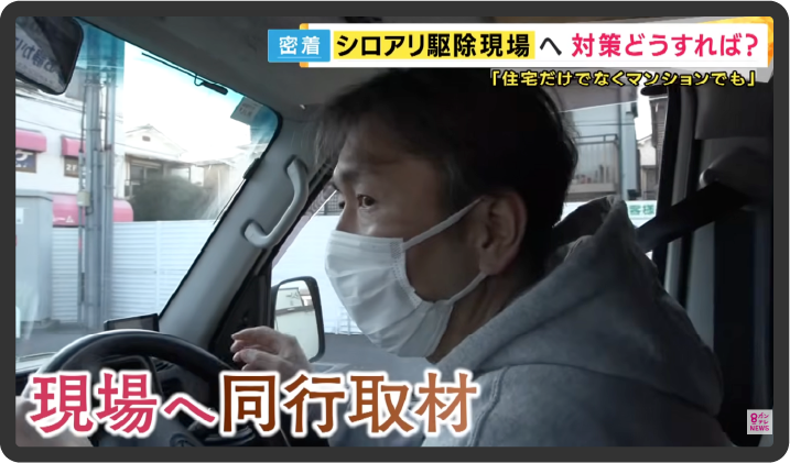 メディア掲載実績