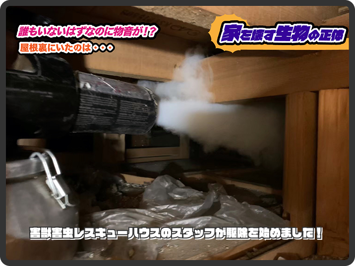 メディア掲載実績