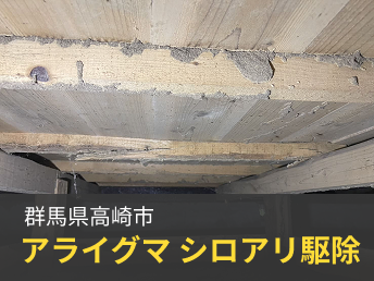 ネズミ駆除 アライグマ シロアリ駆除