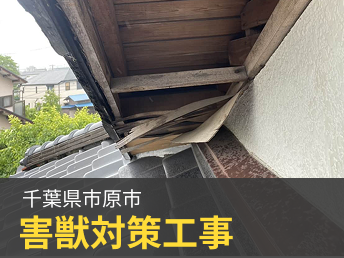 千葉県市原市 害獣対策工事