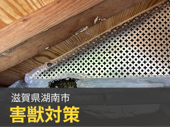 滋賀県湖南市 害獣対策