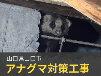 山口県山口市 アナグマ対策工事